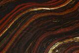 Polished Tiger Iron Stromatolite - Billion Years #129270-1